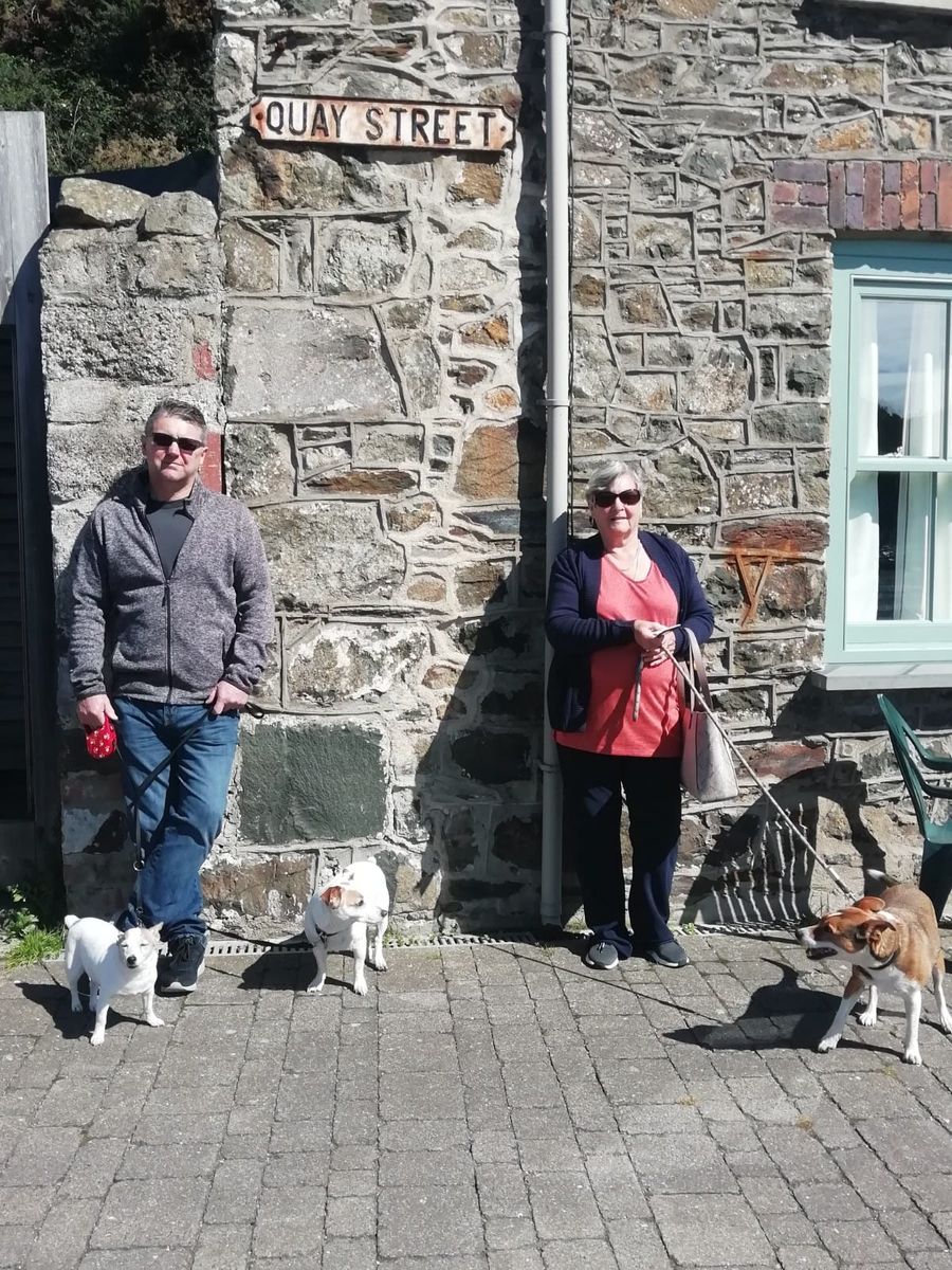 By the harbour with the dogs
