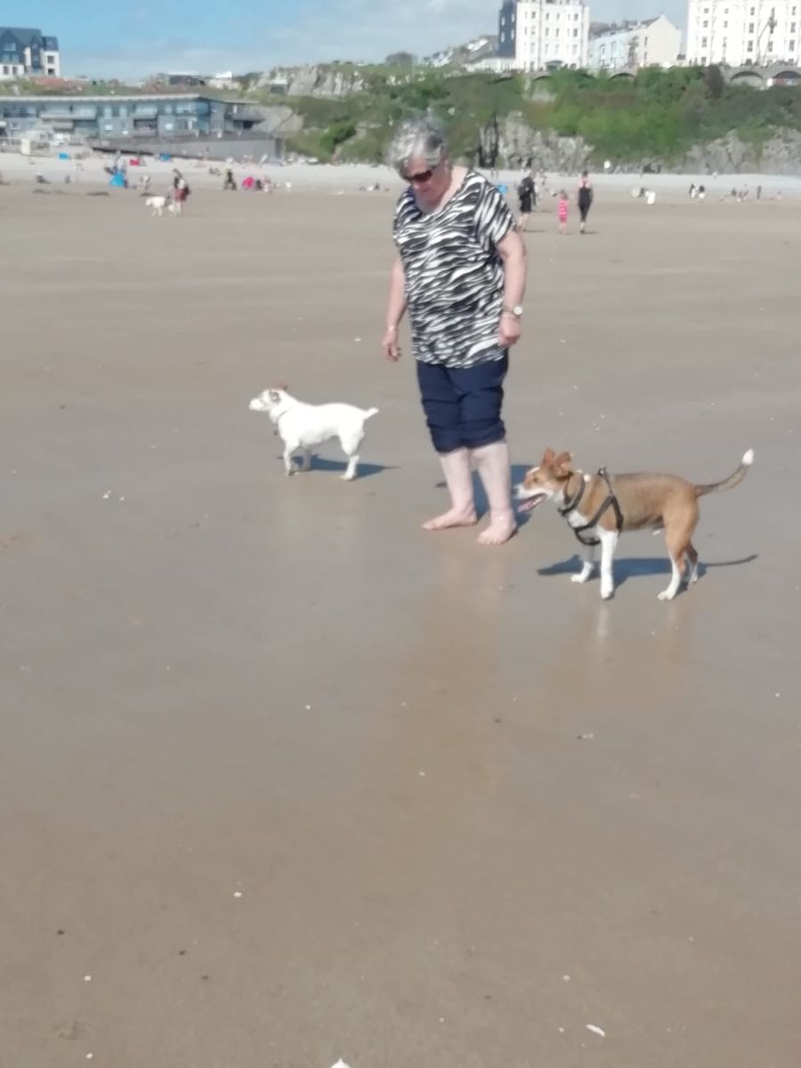 On the beach with the dogs