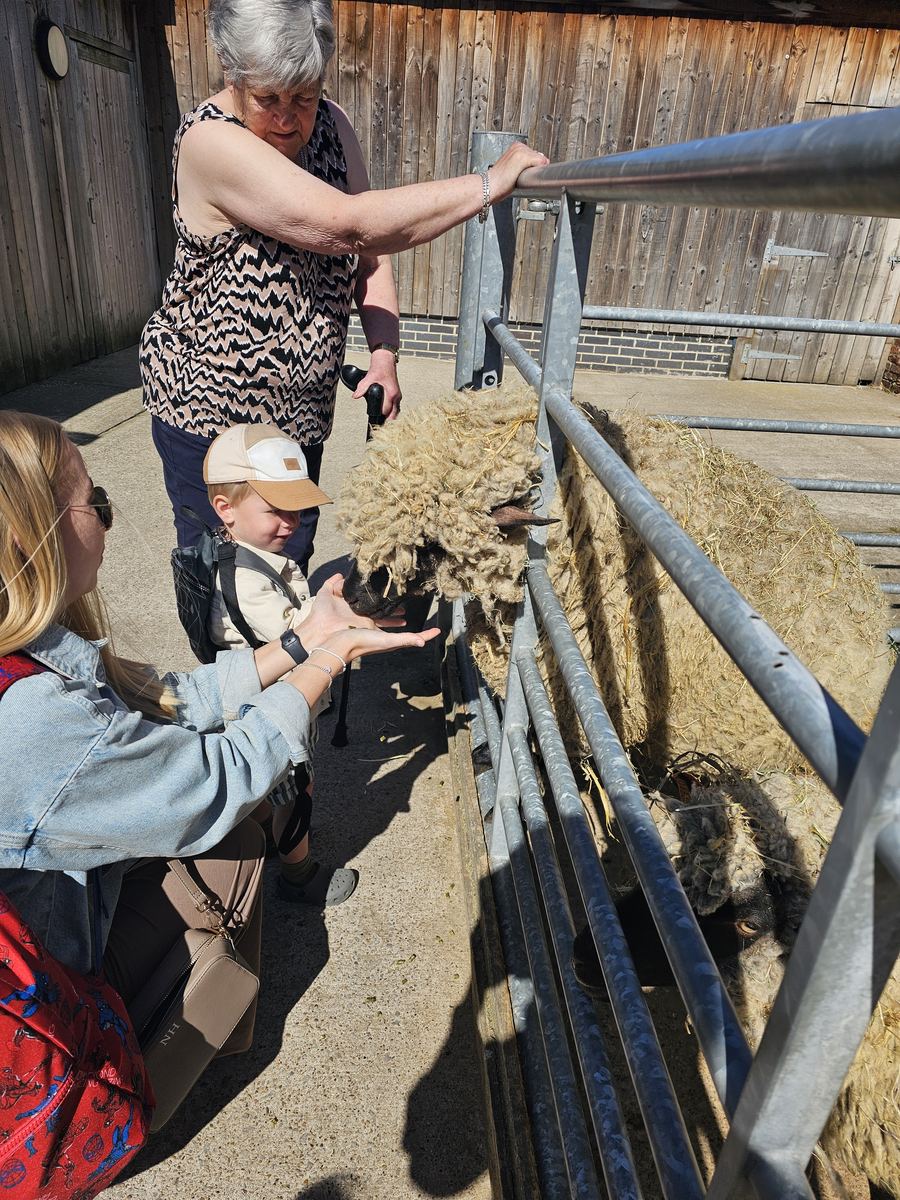 Feeding the animals